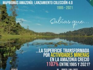La Amazonía perdió 9,7% de su vegetación natural en 37 años