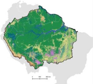 La Amazonía sufrió una pérdida de bosques casi tan grande como el tamaño de Colombia, revela análisis de MapBiomas