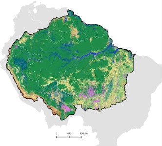 La Amazonía sufrió una pérdida de bosques casi tan grande como el tamaño de Colombia, revela análisis de MapBiomas